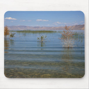 UT, Bärensee Mousepad