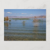 UT, Bärensee Postkarte (Vorderseite)