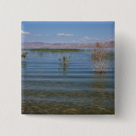 UT, Bear Lake Button (Vorderseite)