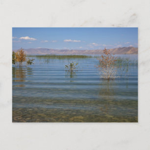 UT, Bear Lake Postkarte