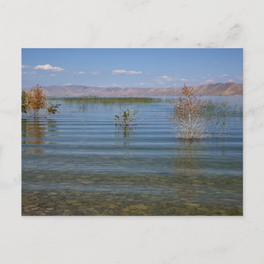 UT, Bear Lake Postkarte (Vorderseite)
