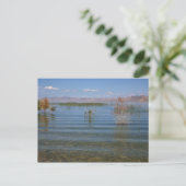 UT, Bear Lake Postkarte (Stehend Vorderseite)