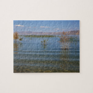 UT, Bear Lake Puzzle