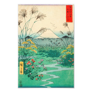 Utagawa Hiroshige - Otsuki-Ebene in der Provinz Ka Fotodruck