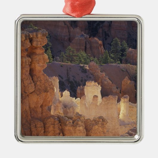 Utah, Bryce Canyon National Park. Hoodoos, Silbernes Ornament (Vorne)