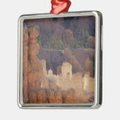 Utah, Bryce Canyon National Park. Hoodoos, Silbernes Ornament (Links)