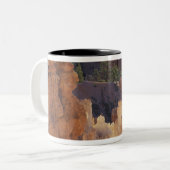 Utah, Bryce Canyon National Park. Hoodoos, Zweifarbige Tasse (Vorderseite Links)