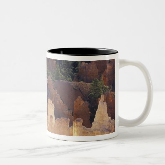 Utah, Bryce Canyon National Park. Hoodoos, Zweifarbige Tasse (Rechts)