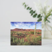 Utah Desert Yucca Postkarte (Stehend Vorderseite)
