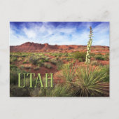 Utah Desert Yucca Postkarte (Vorderseite)