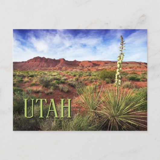 Utah Desert Yucca Postkarte (Vorderseite)