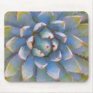 Utah, Dixie National Forest. Nahaufnahme von Yucca Mousepad