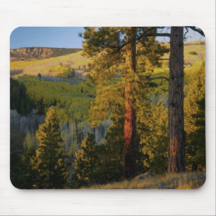 UTAH. Gelbkiefern & Espen, Herbst. Sonnenaufgang, Mousepad