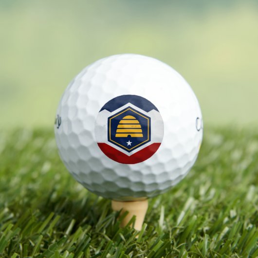 Utah Golfball (Insitu T-Shirt)