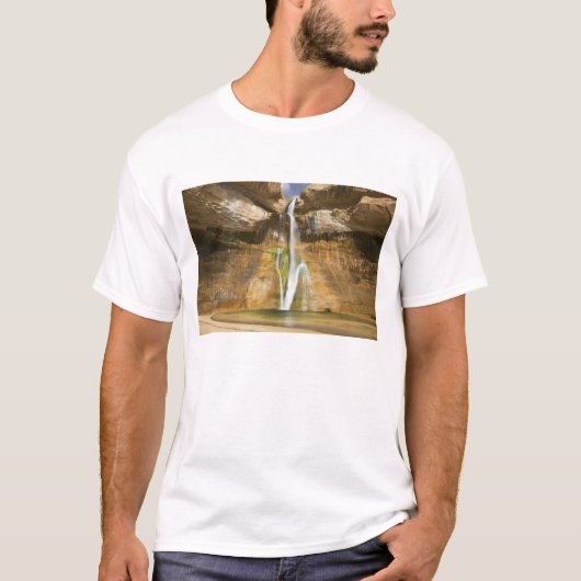 Utah, Große Treppe Escalante NM, Unterkalb T-Shirt (Vorderseite)