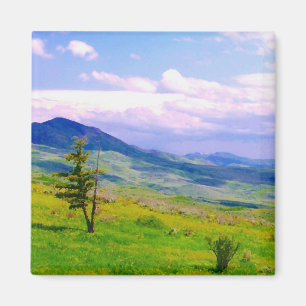 Utah Landschaftlich View Magnet