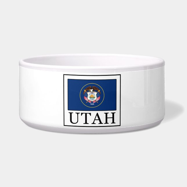 Utah Napf (Vorderseite)