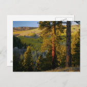 UTAH. Ponderosa Pines & aspen, Herbst. Sonnenaufga Postkarte (Vorne/Hinten)