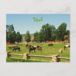 Utah Postkarte