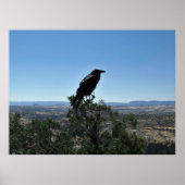 Utah Raven Poster (Vorne)