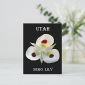 Utah Sego Lily Postkarte (Stehend Vorderseite)