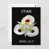 Utah Sego Lily Postkarte (Vorne/Hinten)