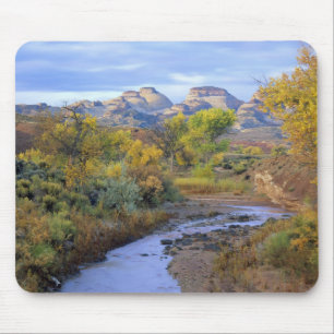 UTAH. USA. Angenehmer Creek im Herbst bei Sonnenau Mousepad