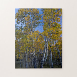 Utah. USA. Aspen Bäume und Mond in der Dämmerung Puzzle