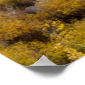 Utah, USA Aspen-Bäume und Wild-Dicken Poster (Ecke)