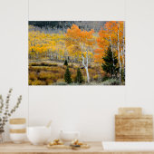 Utah, USA Aspen-Bäume und Wild-Dicken Poster (Küche)