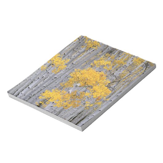 UTAH. USA. Aspen grove (Populus tremuloides) in Notizblock (Rotiert)