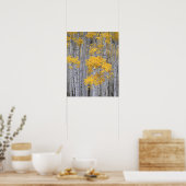 UTAH. USA. Aspen grove (Populus tremuloides) in Poster (Küche)