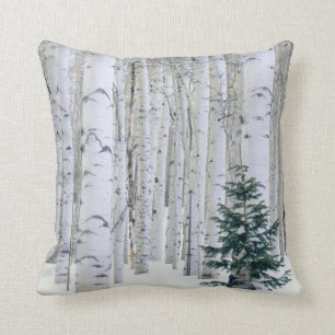 UTAH. USA. Aspen (Populus tremuloides) & Douglas Kissen