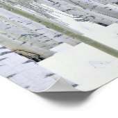 UTAH. USA. Aspen (Populus tremuloides) & Douglas Poster (Ecke)