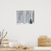 UTAH. USA. Aspen (Populus tremuloides) & Douglas Poster (Küche)