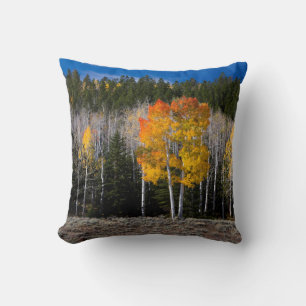 Utah, USA. Aspen Trees (Populus Tremuloides) 2 Kissen