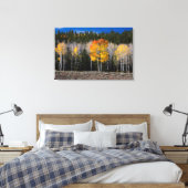 Utah, USA Aspen Trees (Populus Tremuloides) 2 Leinwanddruck (Insitu (Schlafzimmer))