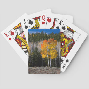 Utah, USA. Aspen Trees (Populus Tremuloides) 2 Spielkarten