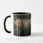Utah, USA. Aspen Trees (Populus Tremuloides) 2 Tasse (Links)