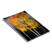 Utah, USA. Aspen Trees (Populus Tremuloides) 3 Notizblock (Rechte Seite)