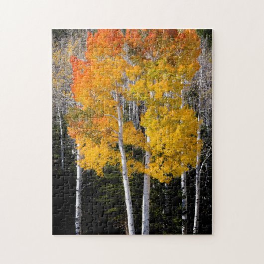Utah, USA. Aspen Trees (Populus Tremuloides) 3 Puzzle (Vertikal)