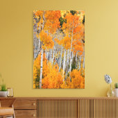 Utah, USA Aspen Trees (Populus Tremuloides) 4 Leinwanddruck (Insitu (Wohnzimmer))