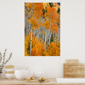 Utah, USA Aspen Trees (Populus Tremuloides) 4 Poster (Küche)