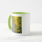 Utah. USA. Aspen Trees (Populus Tremuloides) Tasse (Vorderseite Links)