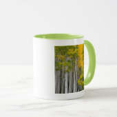 Utah. USA. Aspen Trees (Populus Tremuloides) Tasse (VorderseiteRechts)