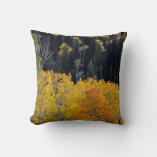 Utah. USA. Espen im Herbst auf dem Sevier Kissen