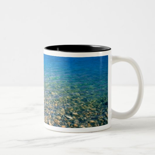 UTAH. USA. Klare Gewässer des Bärensees Zweifarbige Tasse (Rechts)