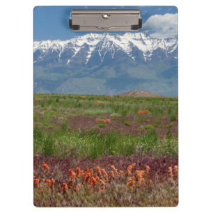 Utah, USA. Mt. Timpanogos erhebt sich darüber Klemmbrett