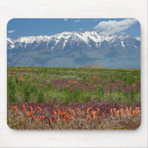 Utah, USA. Mt. Timpanogos erhebt sich darüber Mousepad