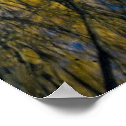 Utah. USA. Peachleaf Willow Trees Poster (Ecke)